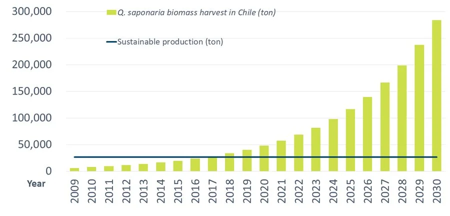Chilean Quillaja saponin harvest trend
