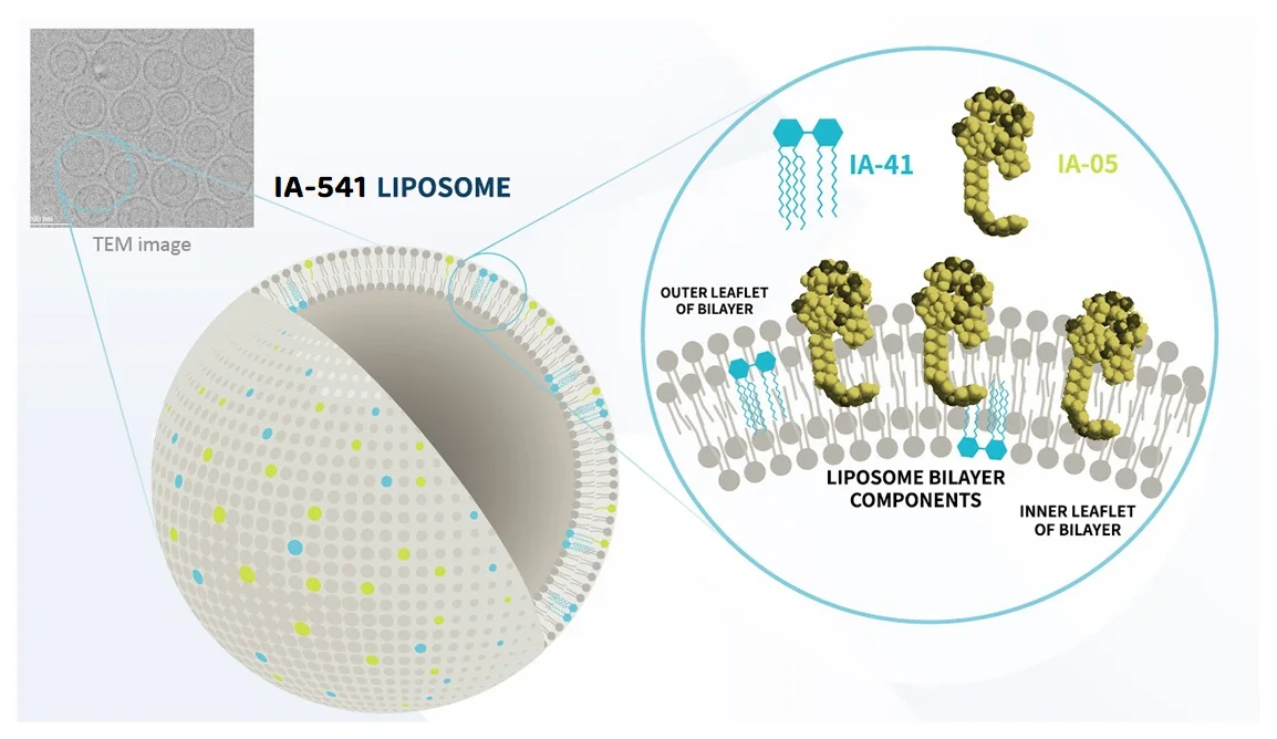 ImmSygma&trade; IA-541 liposome structure schematic