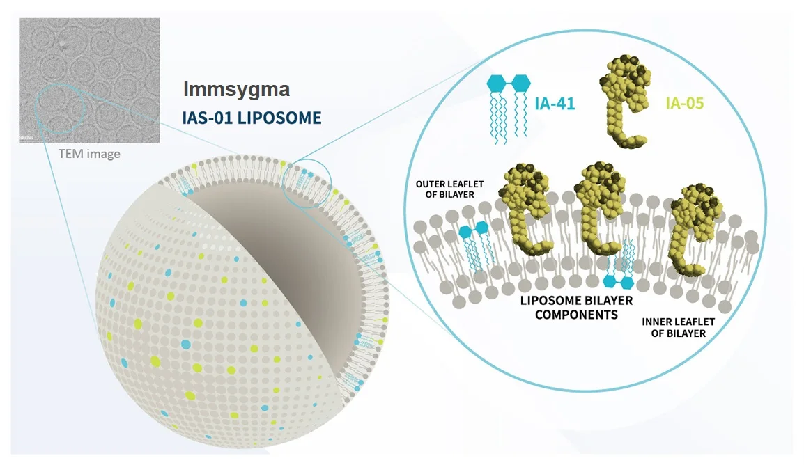 ImmSygma IAS-01 liposome structure schematic